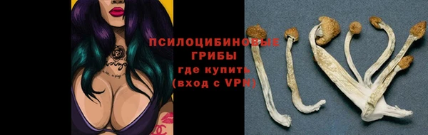 индика Покачи
