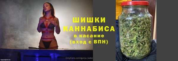 индика Покачи