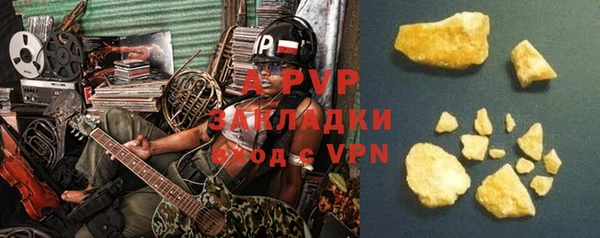 индика Покачи