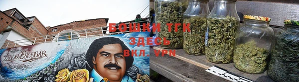 индика Покачи