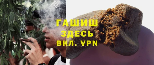 индика Покачи