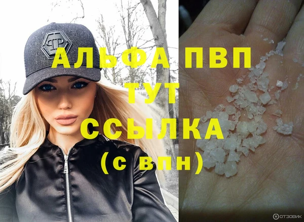 индика Покачи