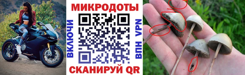 Галлюциногенные грибы Magic Shrooms  мега ТОР  Семилуки 