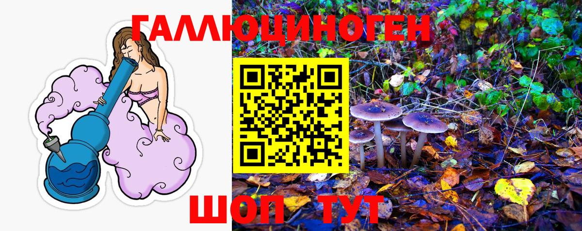 Псилоцибиновые грибы GOLDEN TEACHER  Вход с VPN  Семилуки 