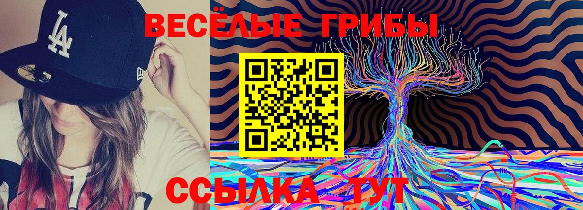 Галлюциногенные грибы ЛСД Семилуки