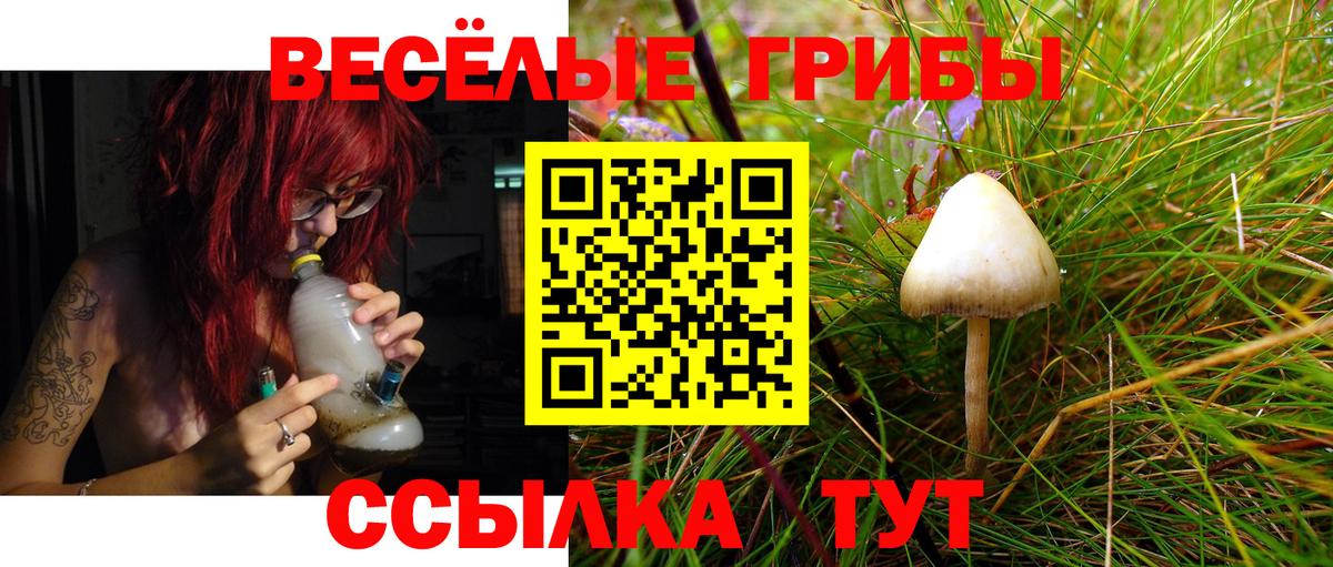 Галлюциногенные грибы ЛСД  купить  сайты  Семилуки 