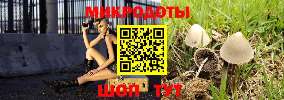 Псилоцибиновые грибы GOLDEN TEACHER Семилуки